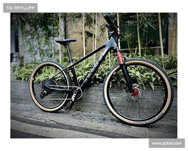 山东打造自行车运动产业园 碳纤维车架生产线落户鱼台助力产业升级